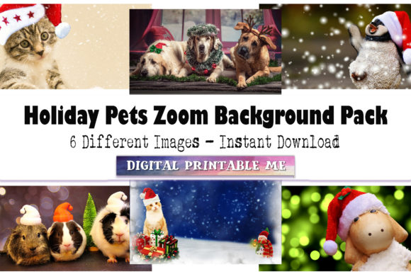 Download Holiday Pet Zoom Funny Animal Christmas - Funny Collection